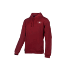 Hoodie 2020 SIP Protection promotivna duksa 647AA2MXT 3