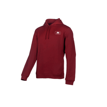 Hoodie 2020 SIP Protection promotivna duksa 647AA2MXT 3