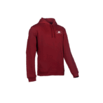 Hoodie 2020 SIP Protection promotivna duksa 647AA2MXT 4